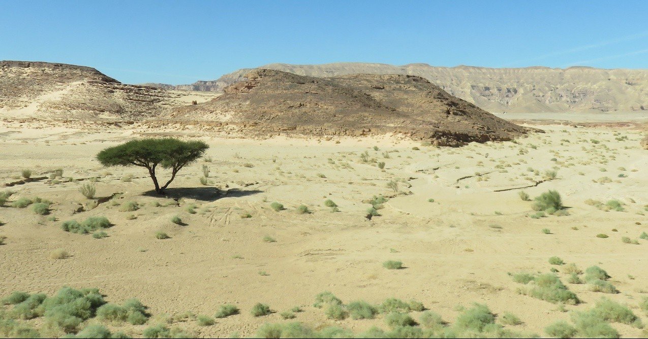 In the wilderness, be a Moses