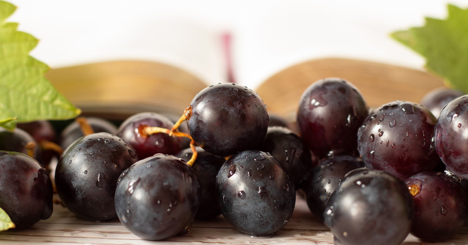 The fruit of God’s mercy
