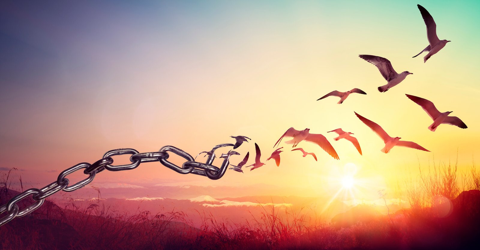 The Hope of Liberation